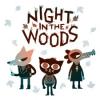 Night in the Woods Box Art Front
